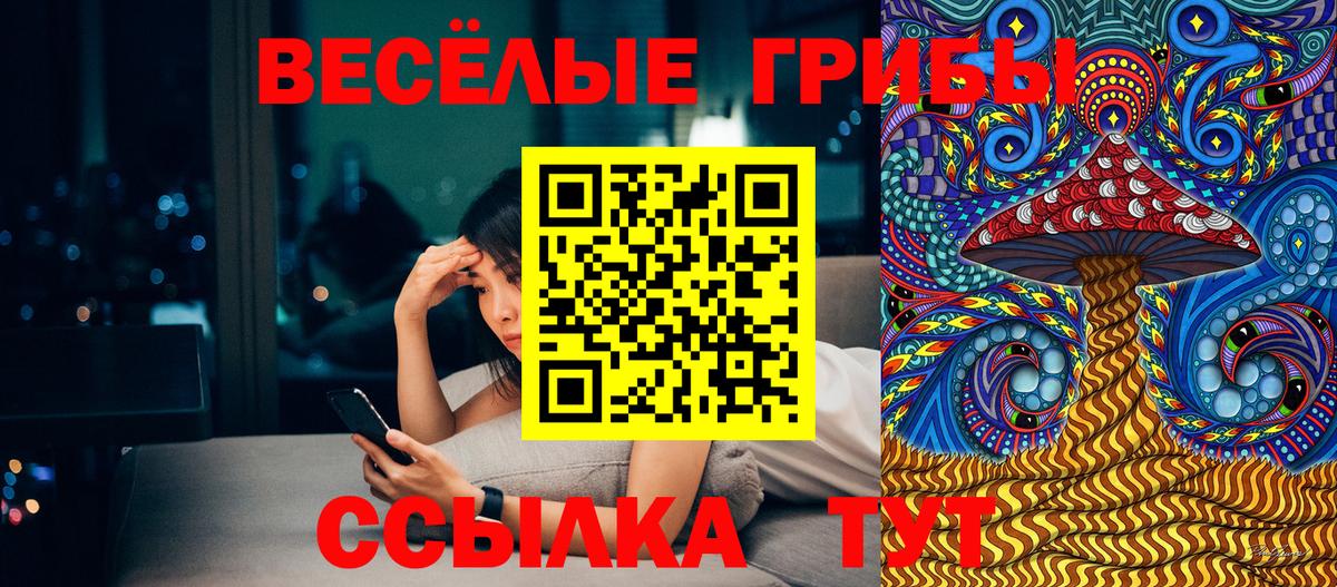 Псилоцибиновые грибы мицелий  Вход с VPN  Псилоцибиновые грибы Psilocybine cubensis  Лениногорск 